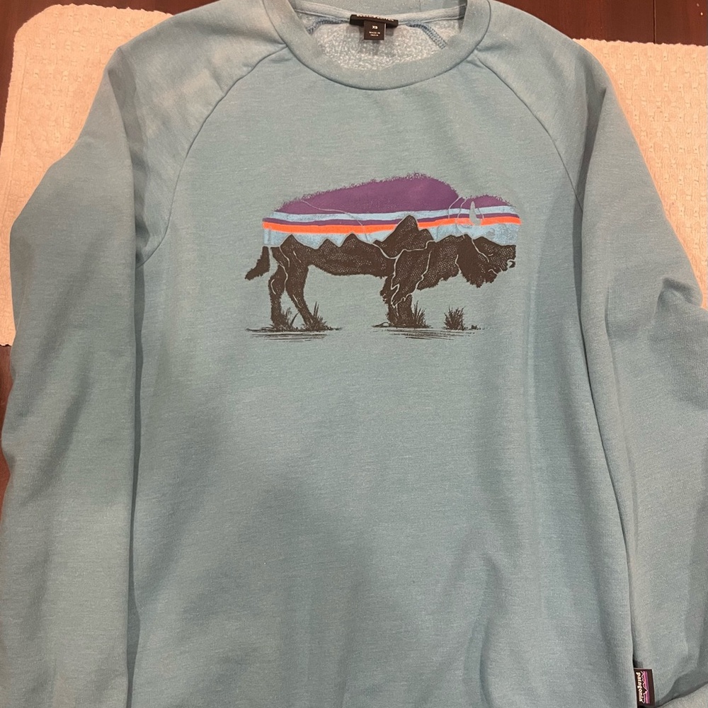 Patagonia Fitz Roy Bison Ahnya Crew Sweatshirt
